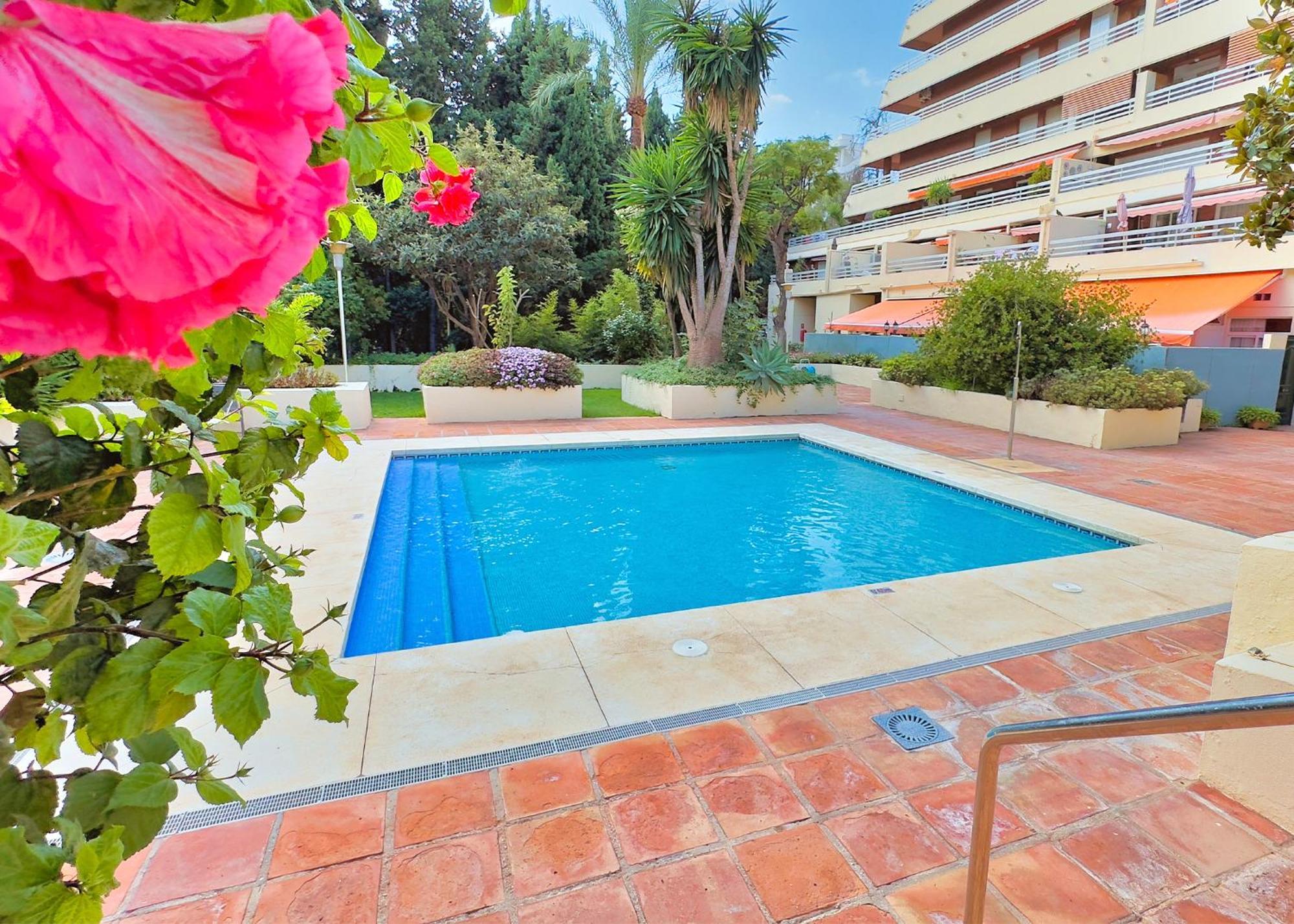 1 Bedroom Second Line Beach- Parque Building Apartment *